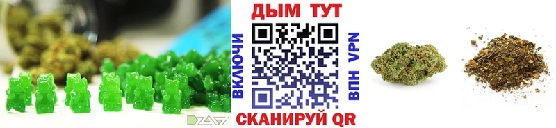 Купить закладки  Кубинка  Cannafood конопля 