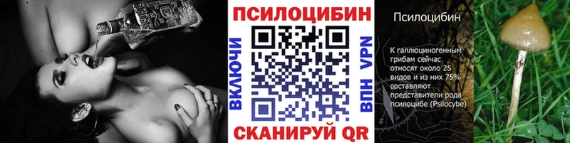 Псилоцибиновые грибы Psilocybine cubensis  Купить закладки  Кубинка 